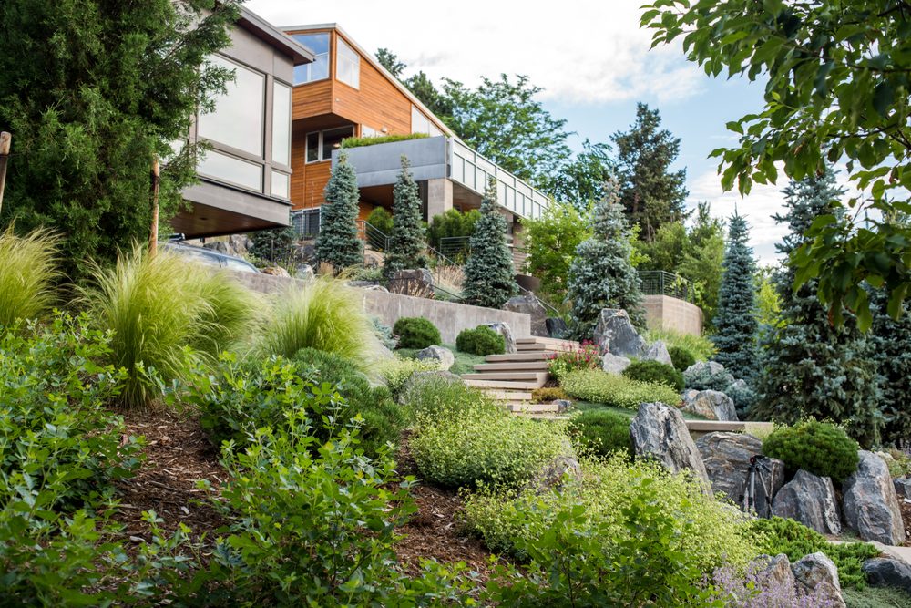 Photo of Environmental Designs