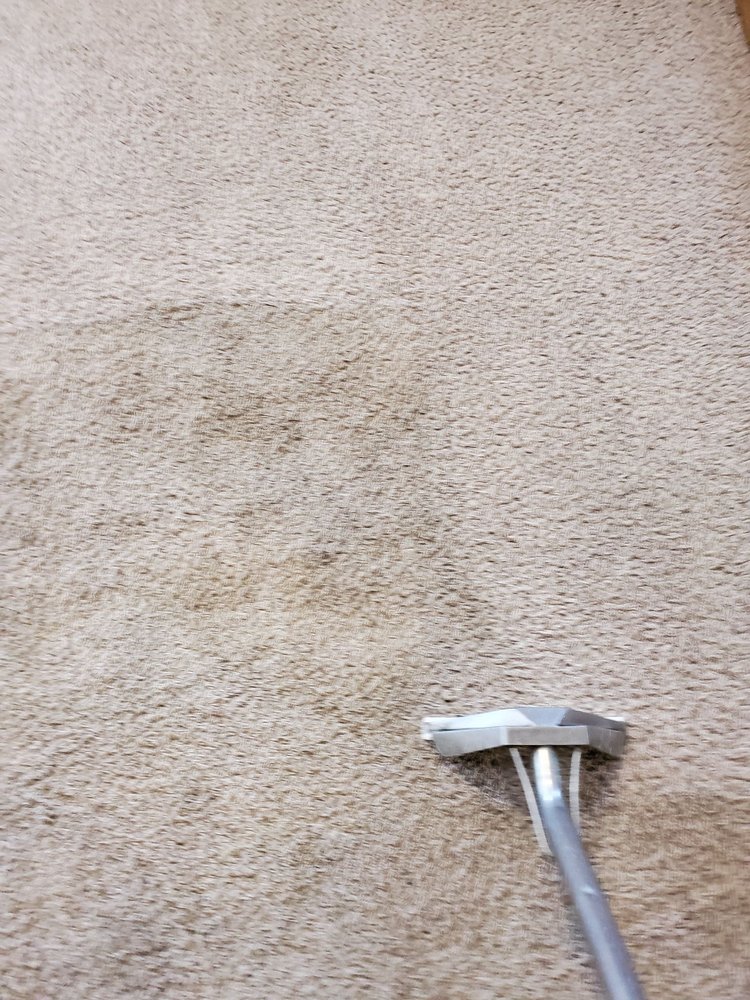 Photo of TLC Carpet & Air Duct Cleaning