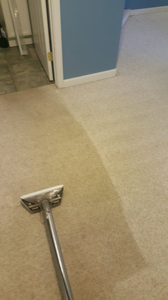 Photo of Steve's Carpet Care