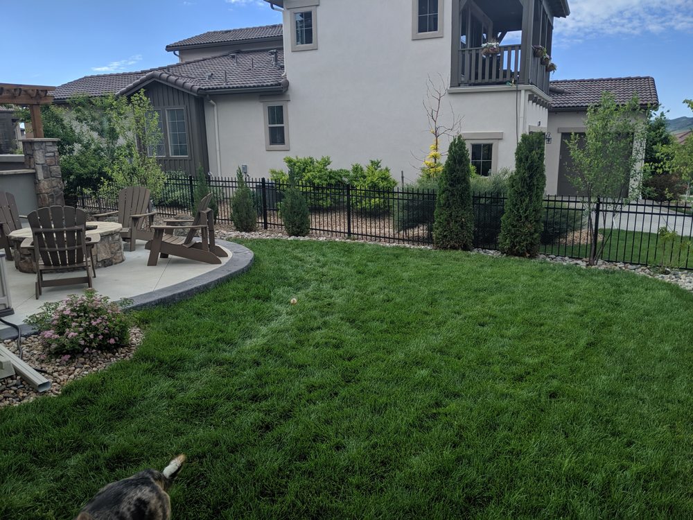 Photo of Denver Patios and Landscape