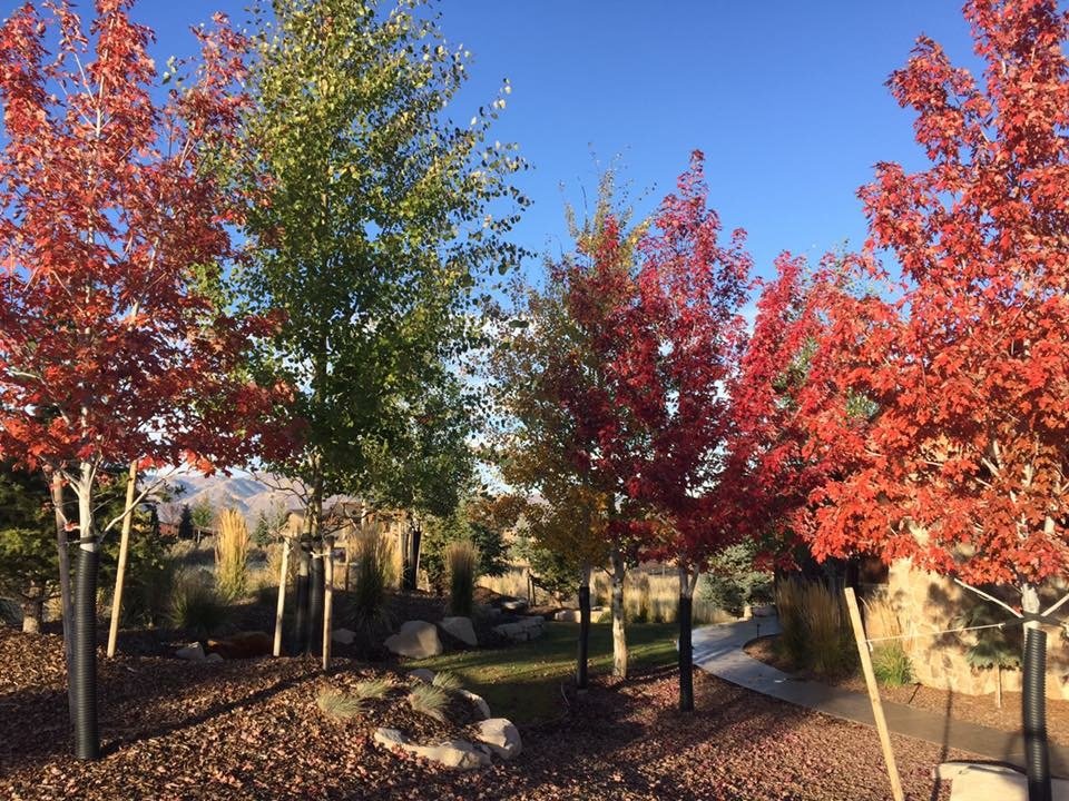 Photo of J & P Landscaping