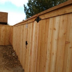 Photo of New Face Restoration