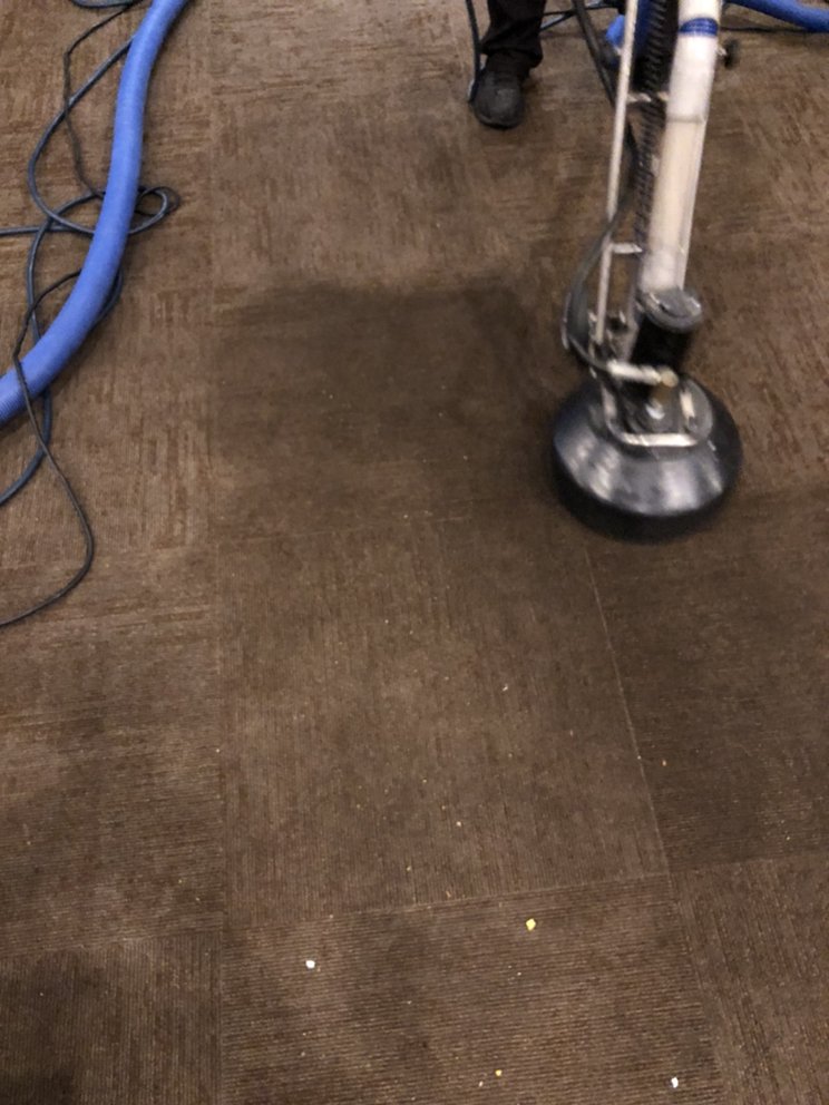 Photo of Team Carpet Care