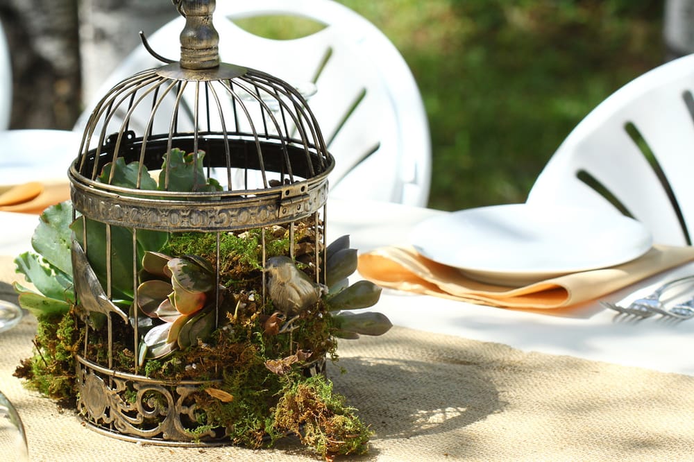 Photo of Serendipity Catering