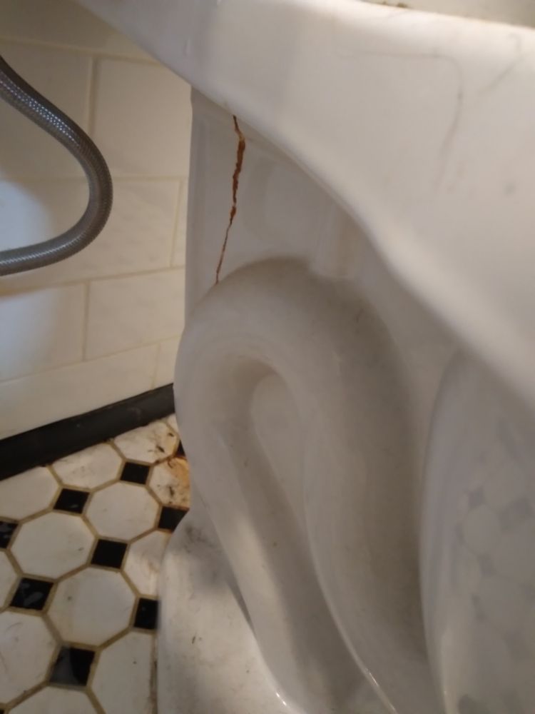 Photo of Mile High Clean Freaks