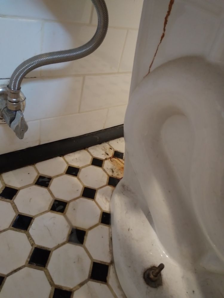 Photo of Mile High Clean Freaks
