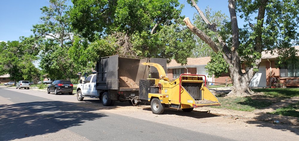 Photo of MQ Landscaping and Tree Services