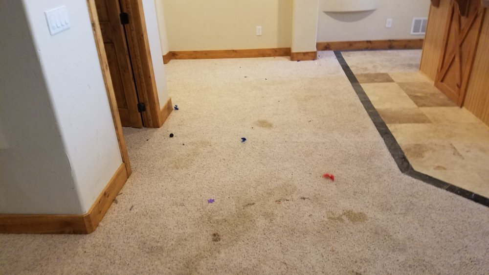 Photo of Magic Dry-A Cleaner Carpet