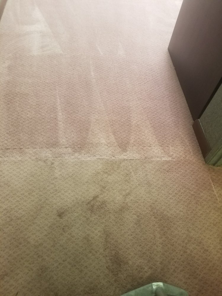 Photo of Chapple's Carpet Cleaning