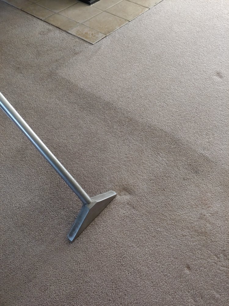 Photo of Chapple's Carpet Cleaning