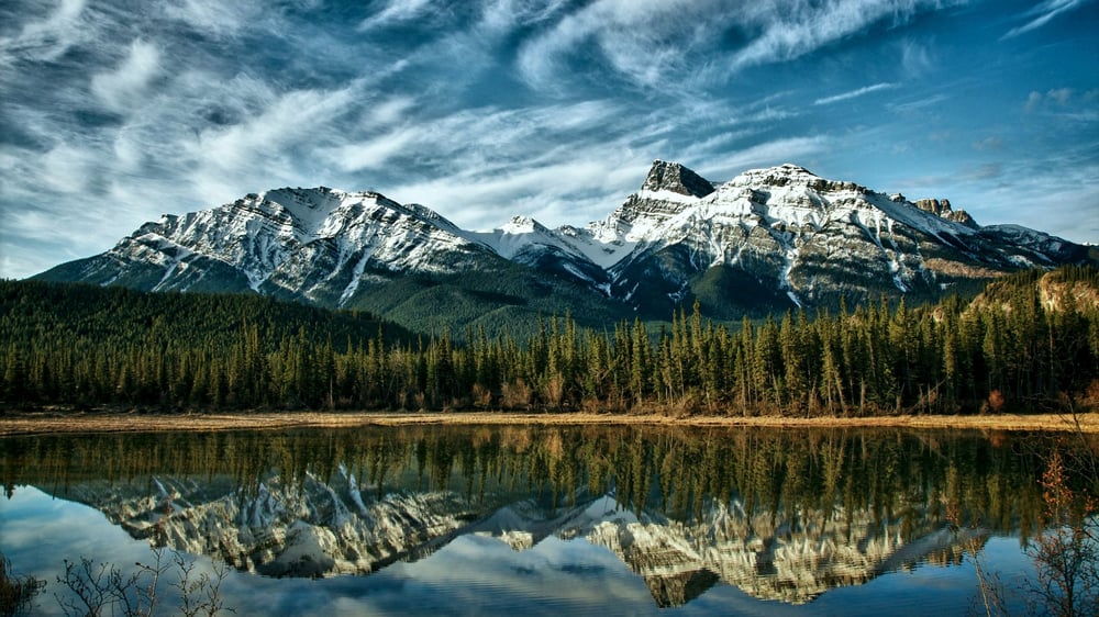Photo of Mountain Marketing Solutions