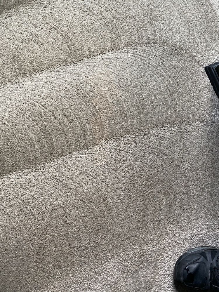 Photo of Carpet Doctor Denver