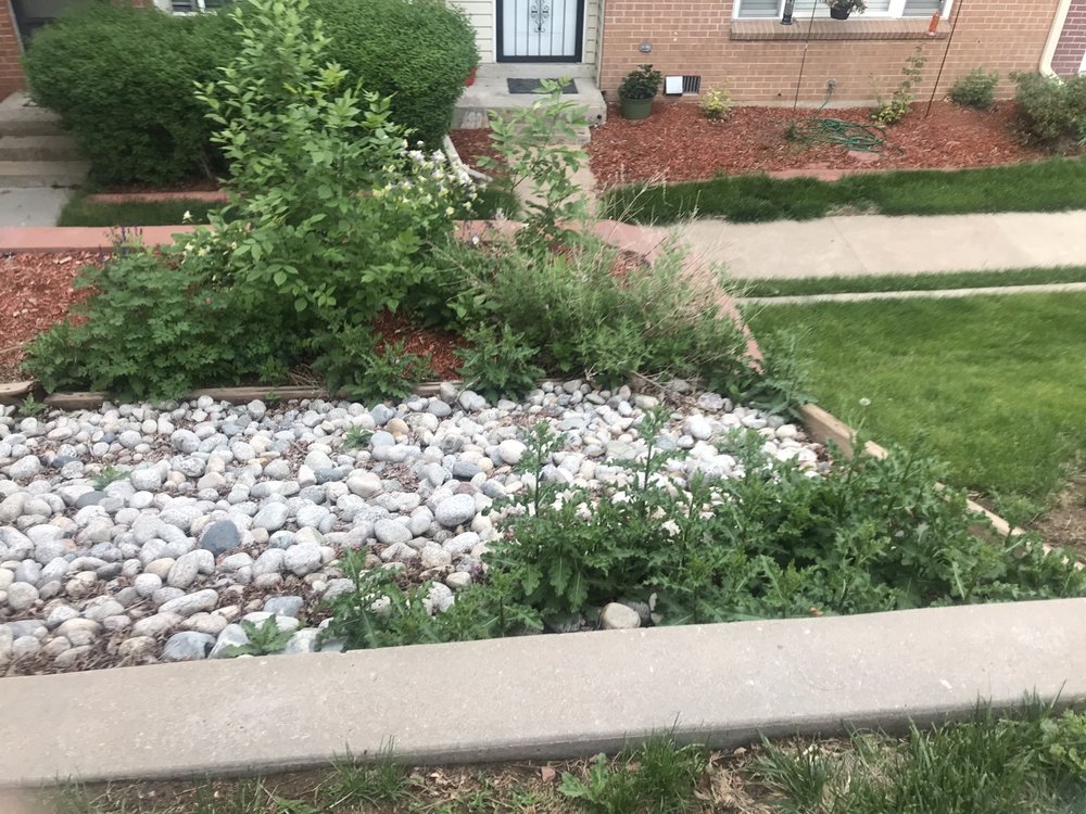 Photo of CAP Management