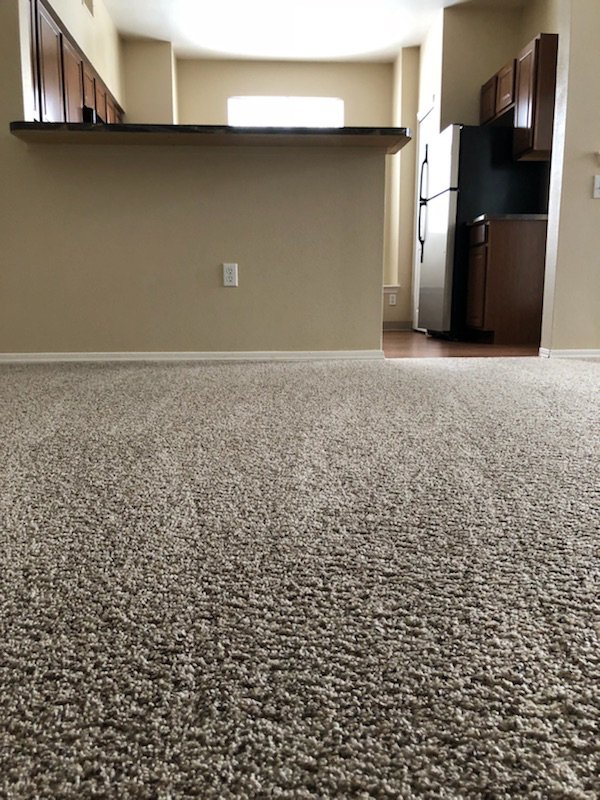 Photo of Extreme Carpet Cleaning & Restoration