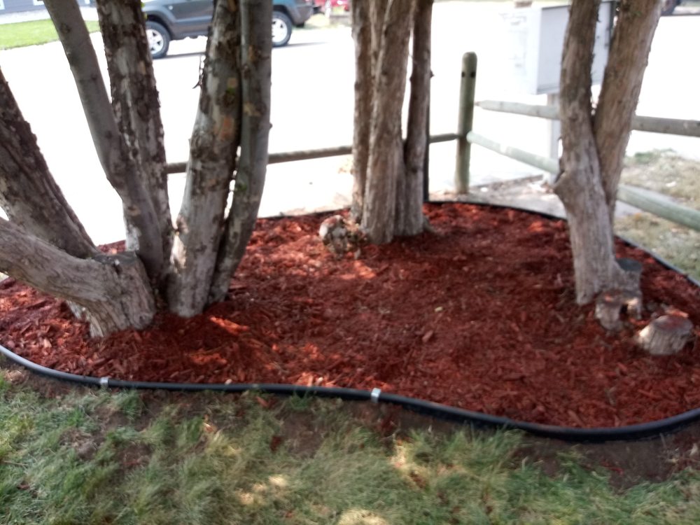 Photo of The Moore Fix