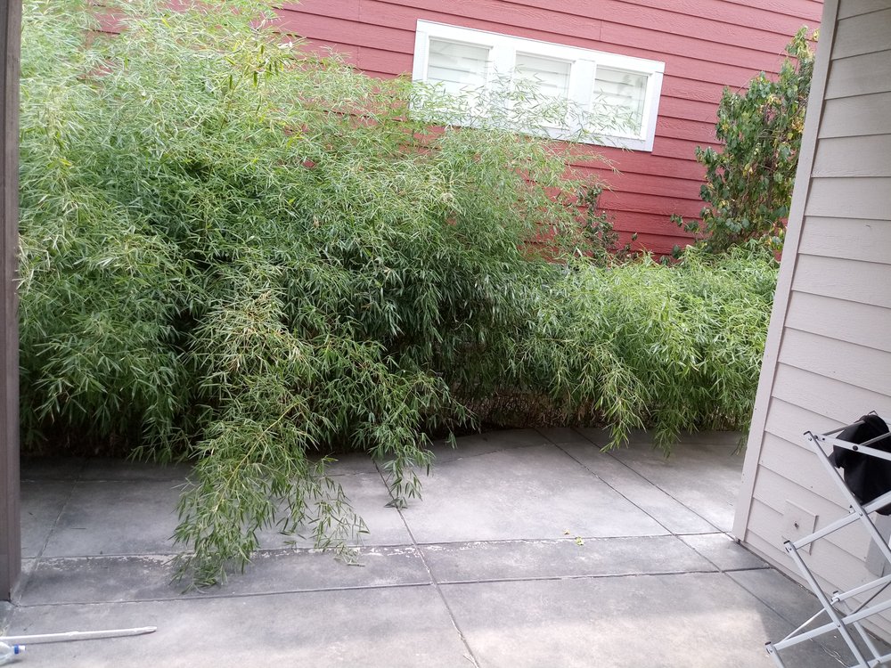 Photo of The Moore Fix