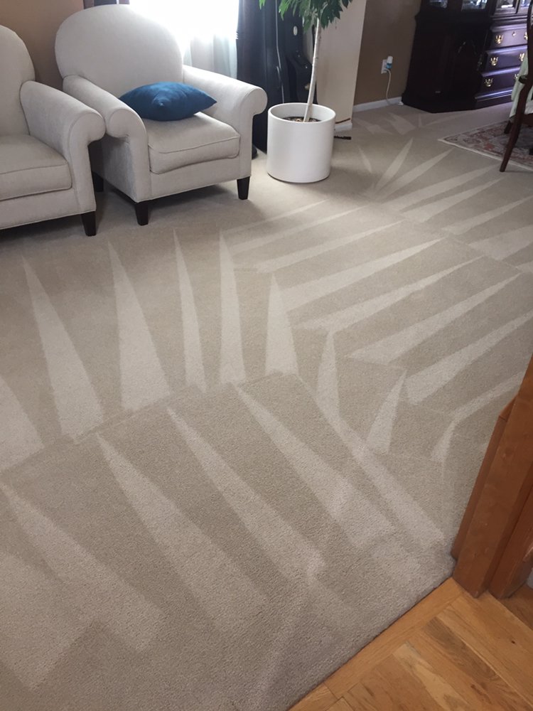 Photo of Dirty Paws Carpet Cleaning & Restoration