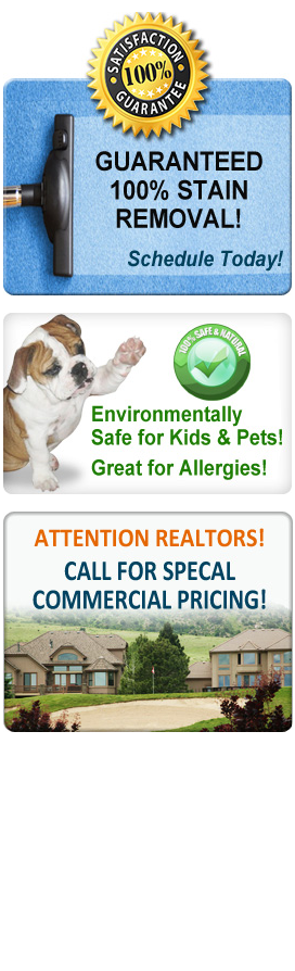 Photo of Bullies Carpet Cleaning