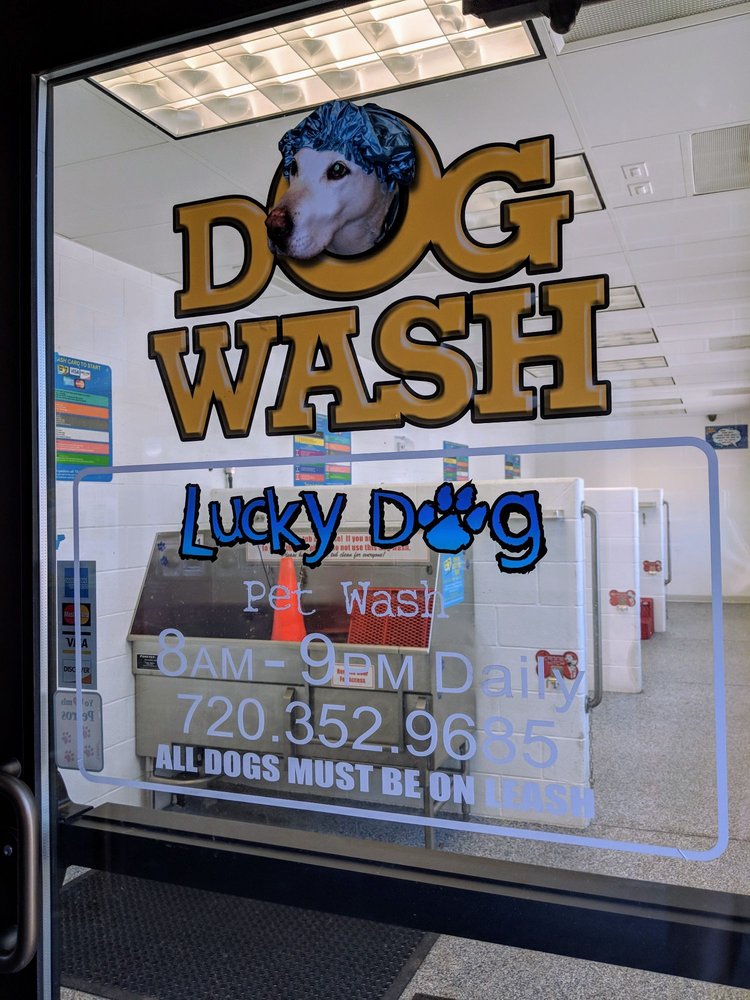 Photo of Lucky Dog Car & Pet Wash