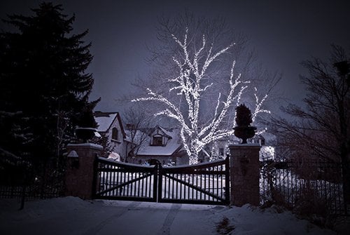 Photo of SavATree Denver