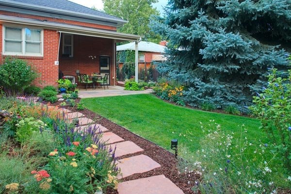 Photo of SavATree Denver