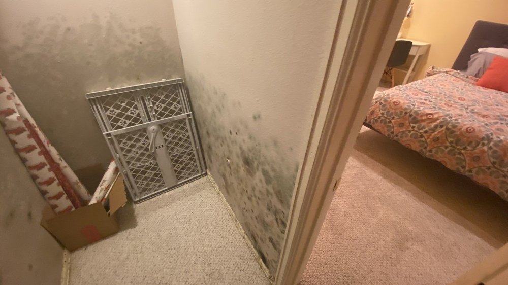 Photo of JJG Drywall