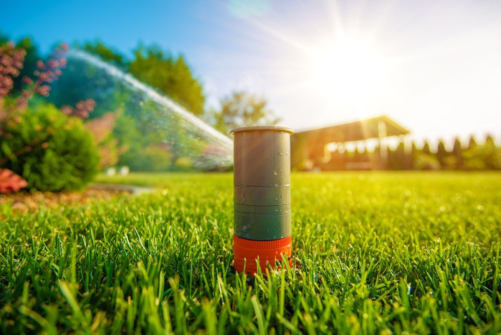 Photo of Lawn Pros
