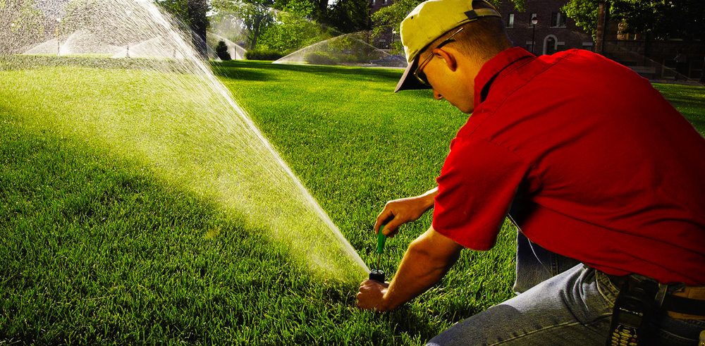 Photo of Lawn Pros
