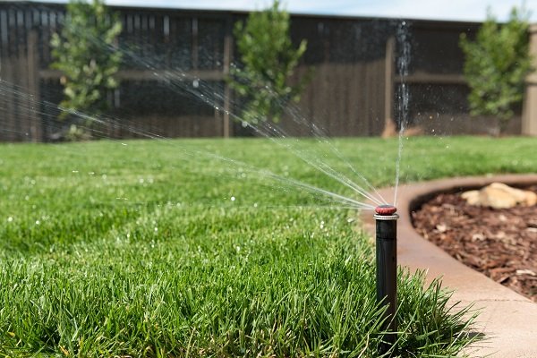 Photo of Lawn Pros