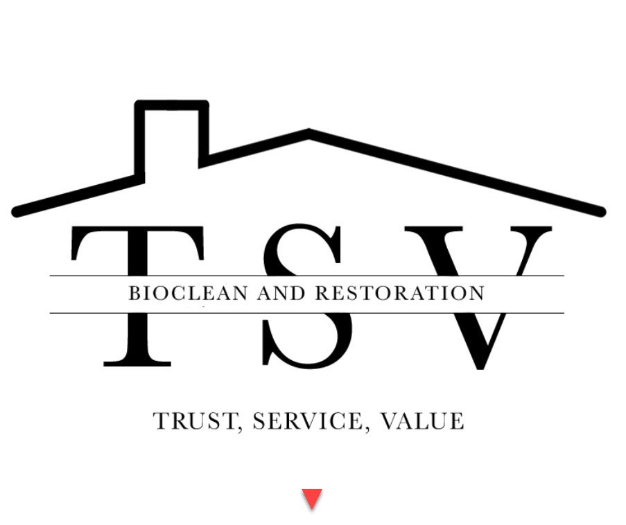 Photo of TSV Biohazard & Restoration