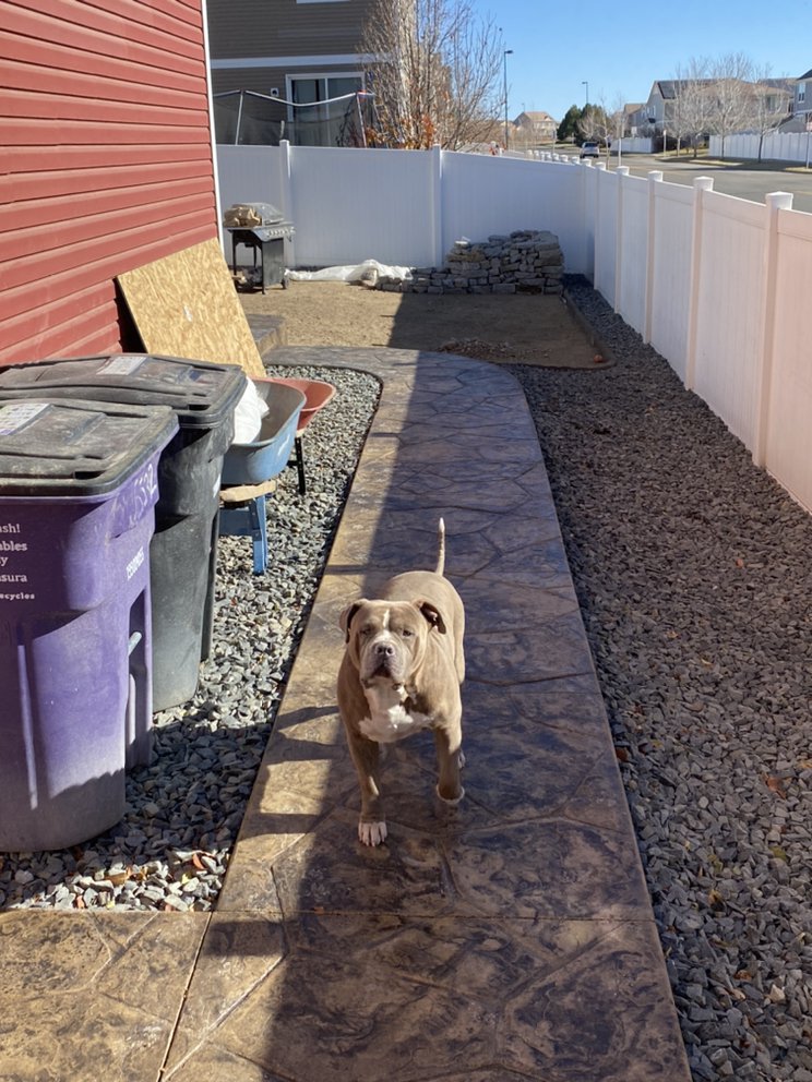 Photo of I&B Concrete