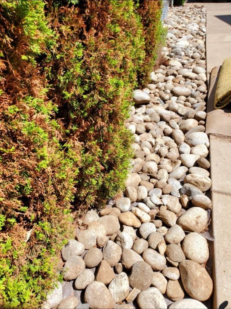 Photo of Fox Landscaping