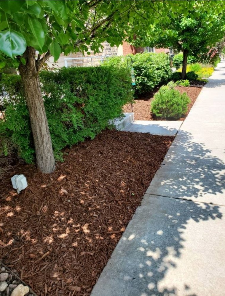 Photo of Fox Landscaping