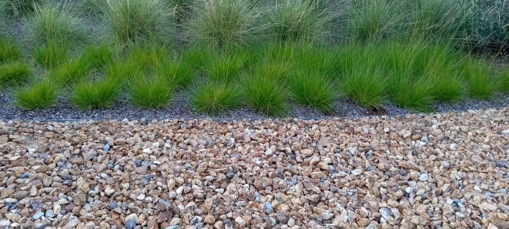 Photo of Acacia Landscaping Services