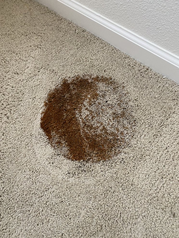 Photo of JC Carpet & Upholstery Cleaning