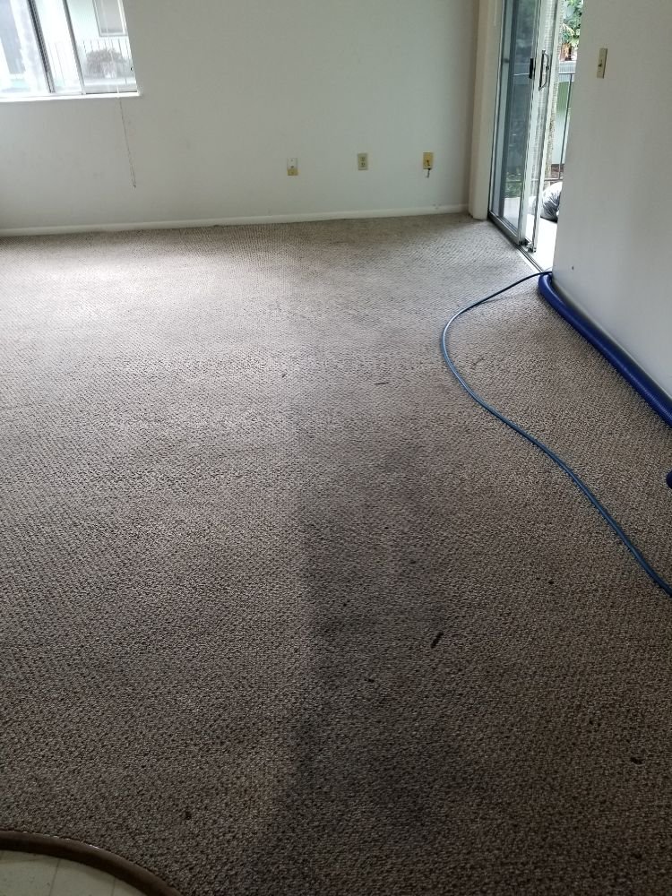 Photo of Sonoma County Carpet Care