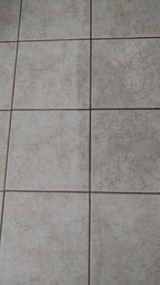 Photo of Pro Clean
