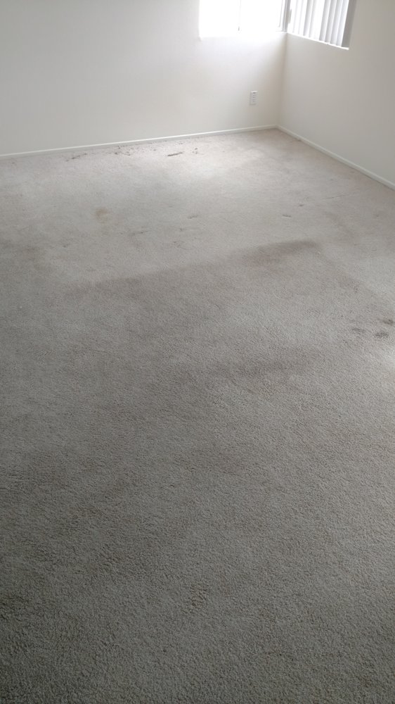 Photo of Pro Clean