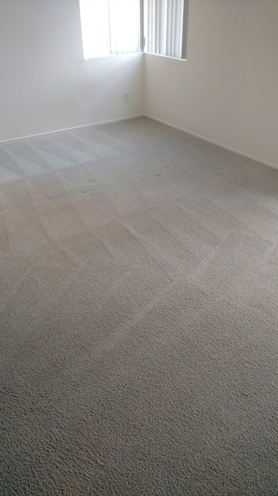 Photo of Pro Clean