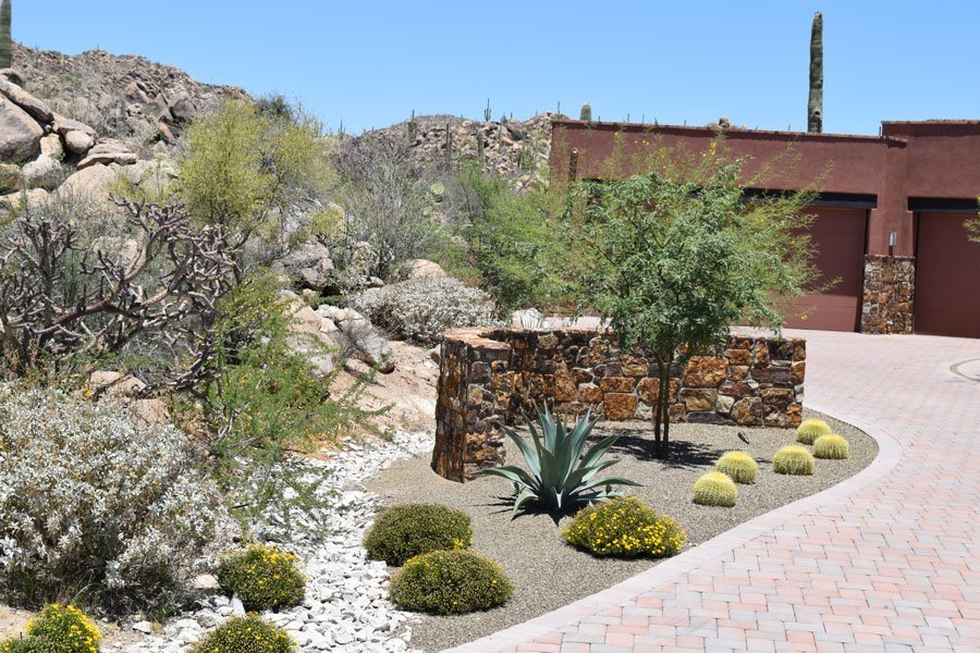 Photo of Desert Coral Landscaping