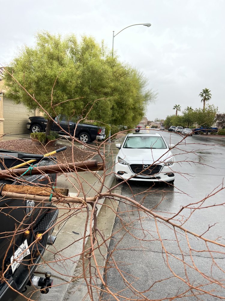 Photo of JT'S Tree Service