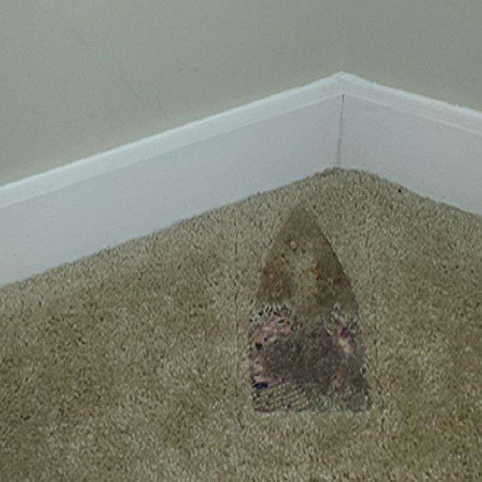 Photo of Sol Carpet Repair