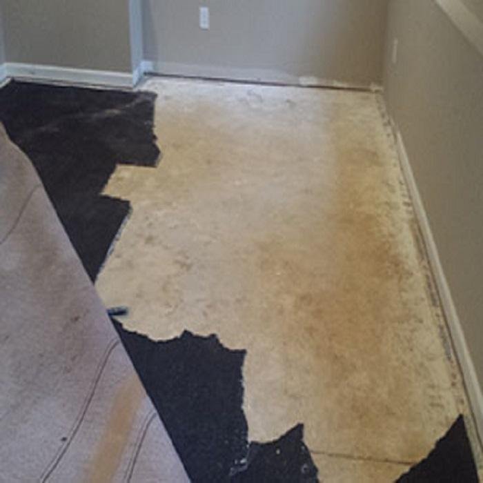 Photo of Sol Carpet Repair