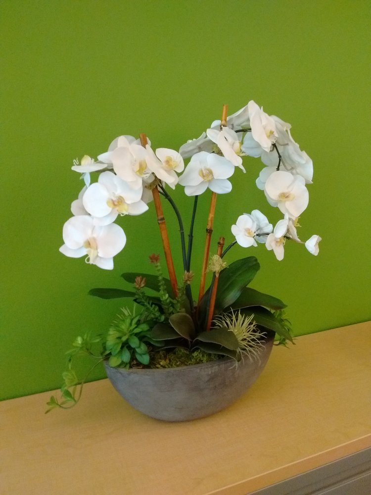 Photo of Green N' Silk