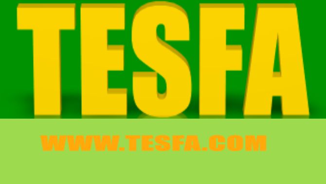 Photo of Tesfa