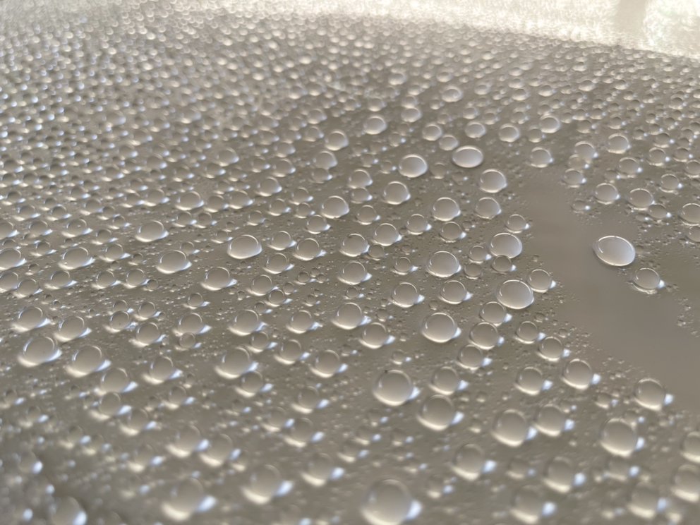 Photo of AW Mobile Auto Detailing, Ceramic Coating & Paint Correction