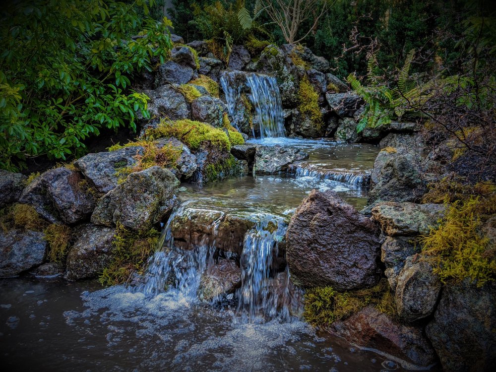 Photo of Affordable Ponds