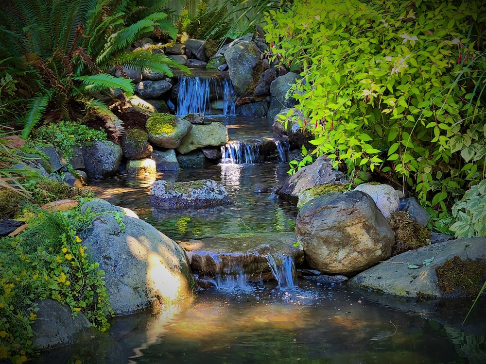 Photo of Affordable Ponds