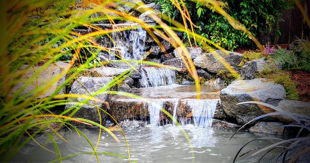 Photo of Affordable Ponds