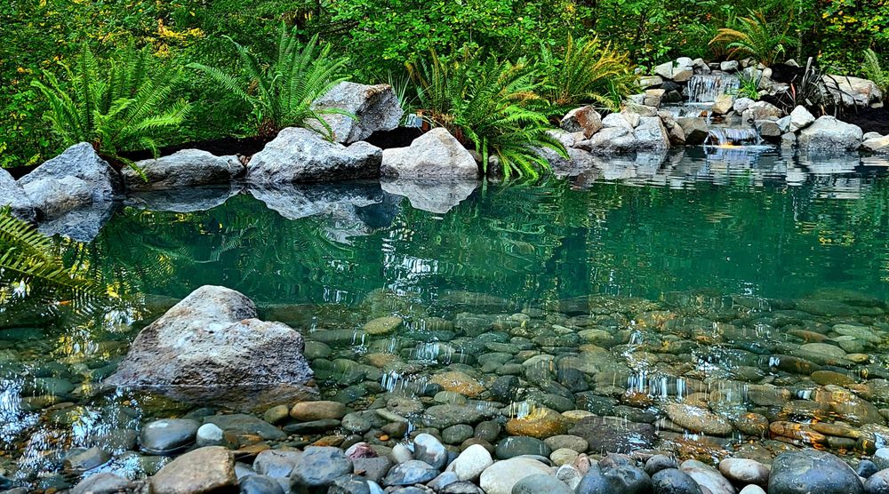 Photo of Affordable Ponds